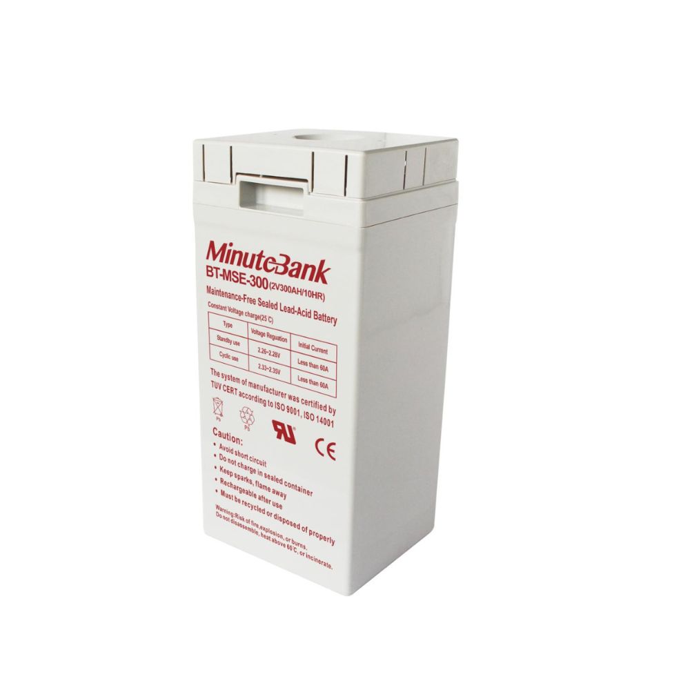 BTMSE500 Minute Battery